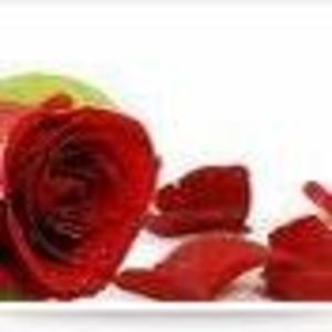 Meet your Posher, Sonia